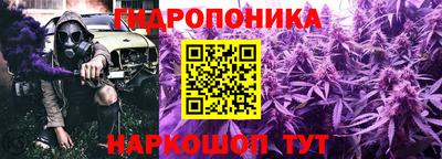 прущие грибы Усть-Илимск