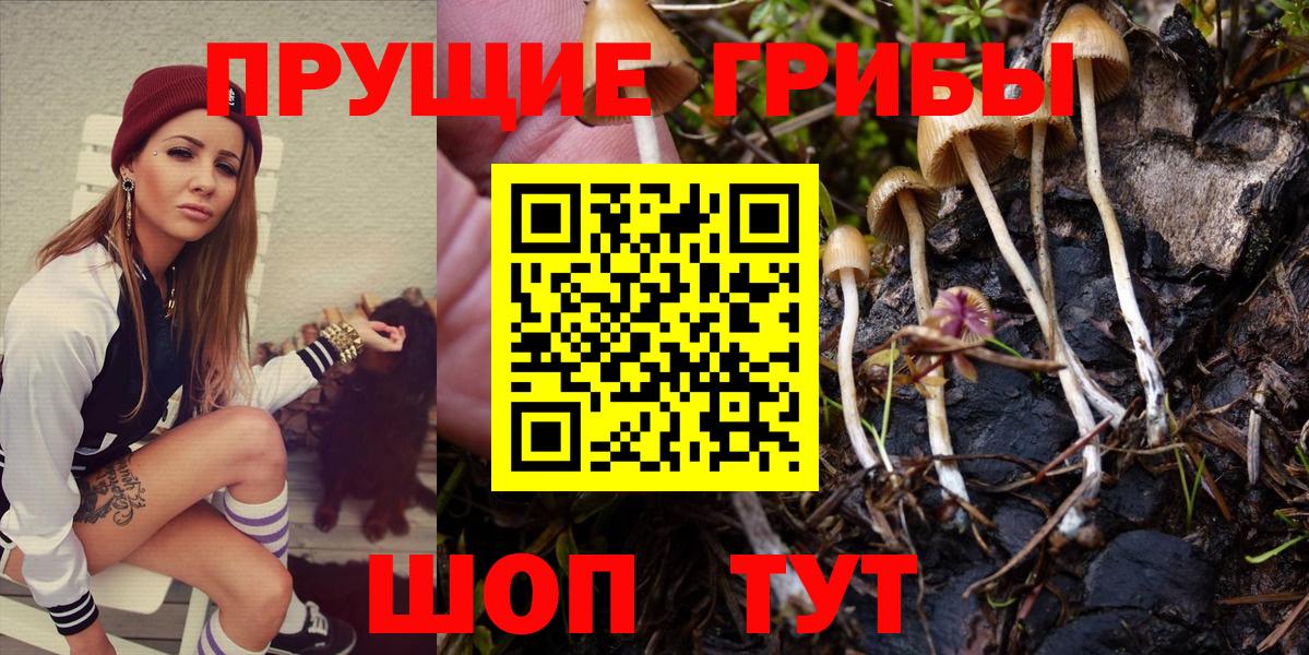 Псилоцибиновые грибы мицелий  Галлюциногенные грибы Psilocybe  Богородск  где можно купить   Вход с VPN 