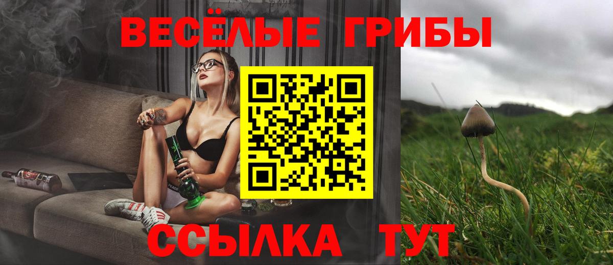 Псилоцибиновые грибы MAGIC MUSHROOMS Богородск